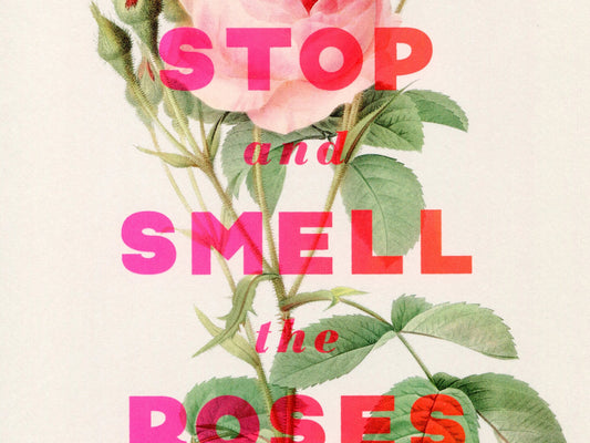Stop and Smell the Roses A4 Art Print