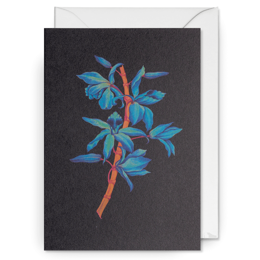 Botanical Greetings Card