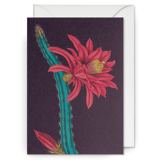 Cactus Botanical Greetings Card