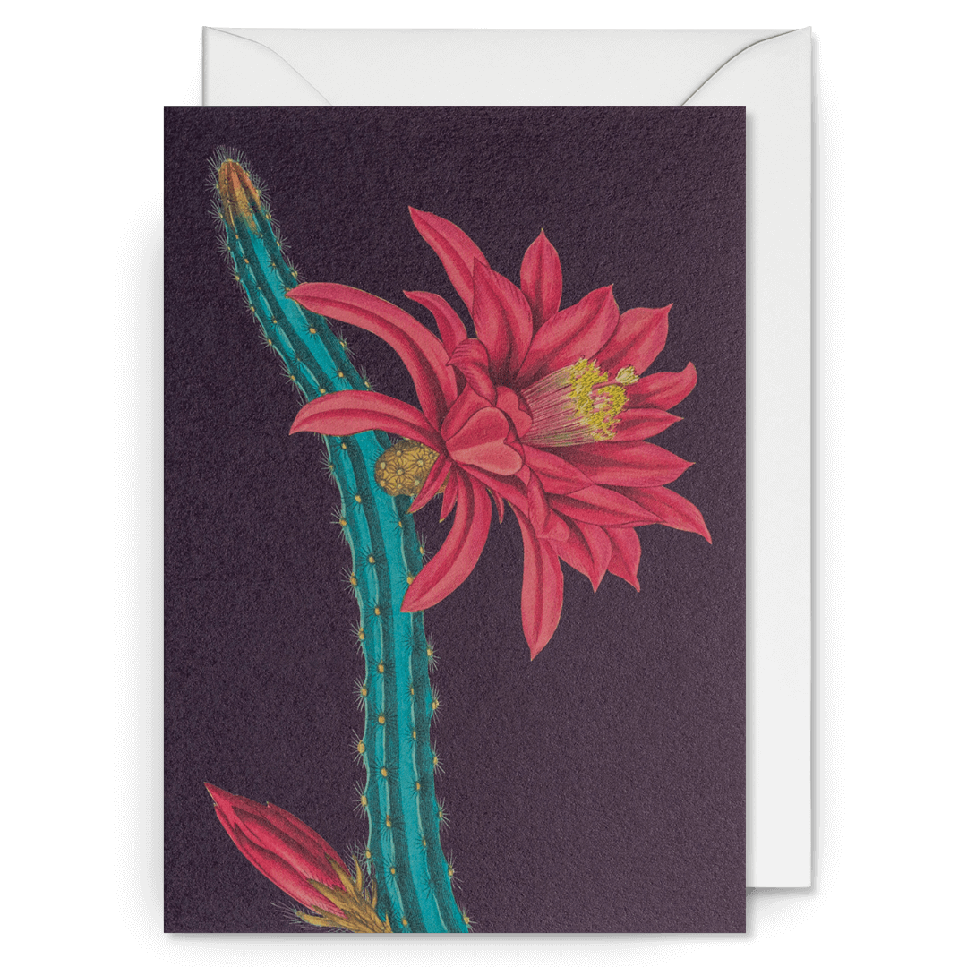 Cactus Botanical Greetings Card