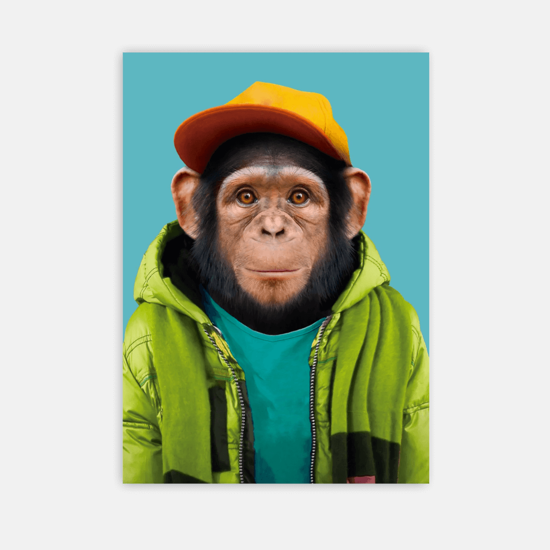 Chimpanzee Postcard