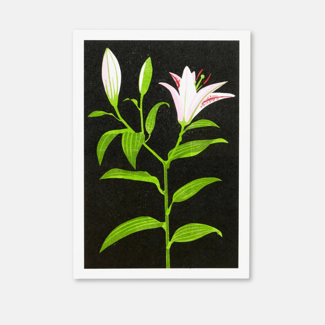 Lily Greetings Card