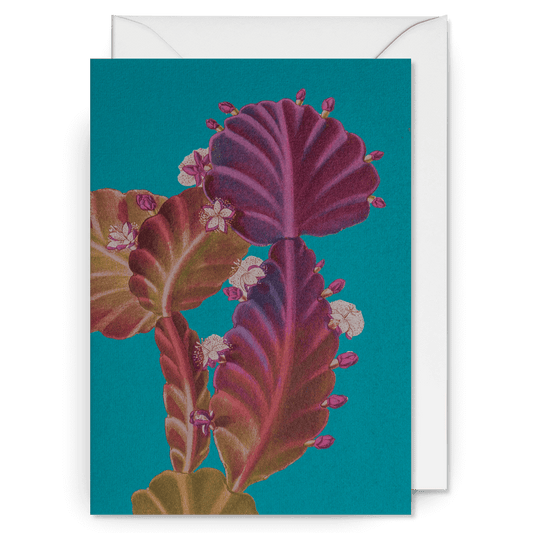 Tropical Plant Botanical Greetings Card