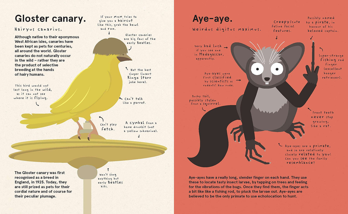The World's Most Pointless Animals
