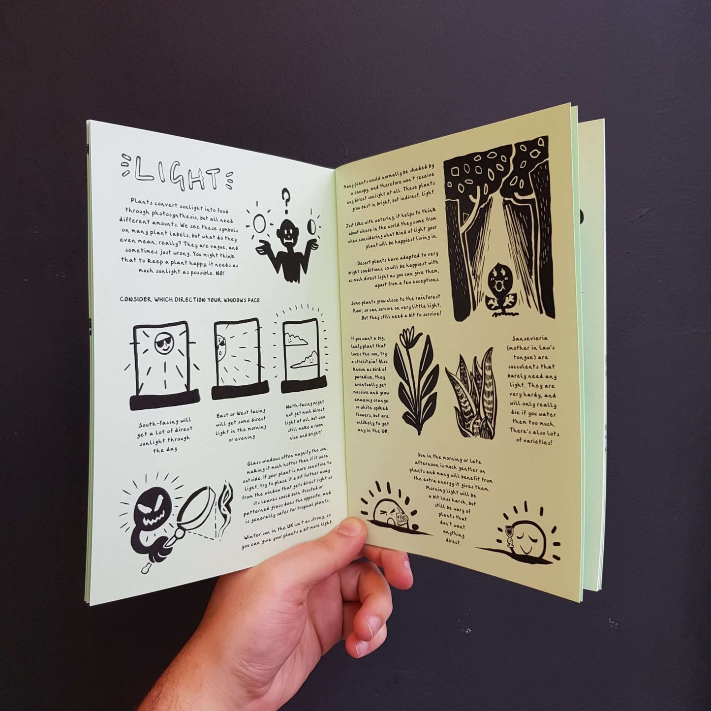 Freddy Fuller's Plant Zine
