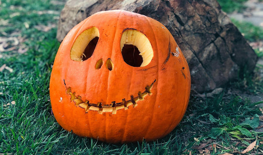 13 Spook-tacular Events this October Half Term