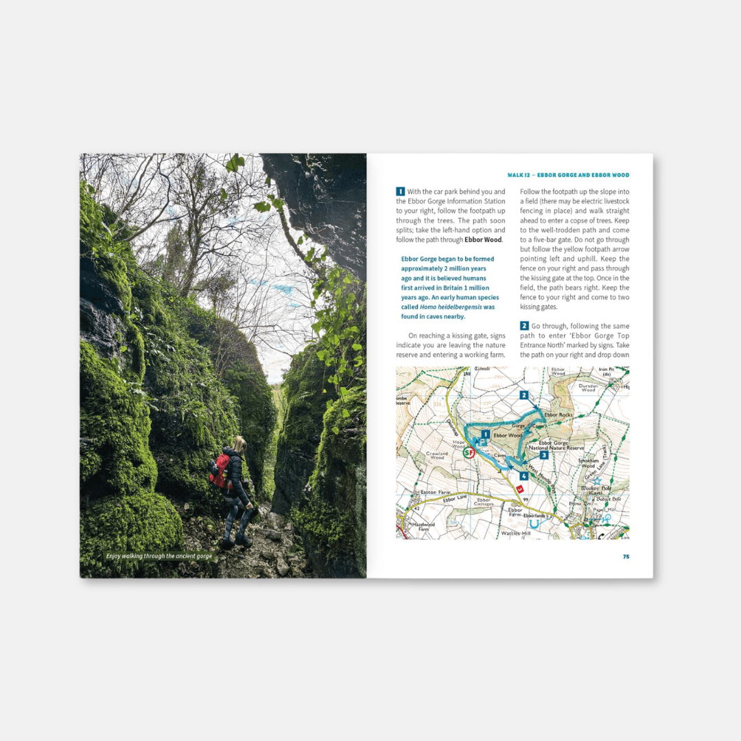 15 Short Walks: Cheddar & The Mendips