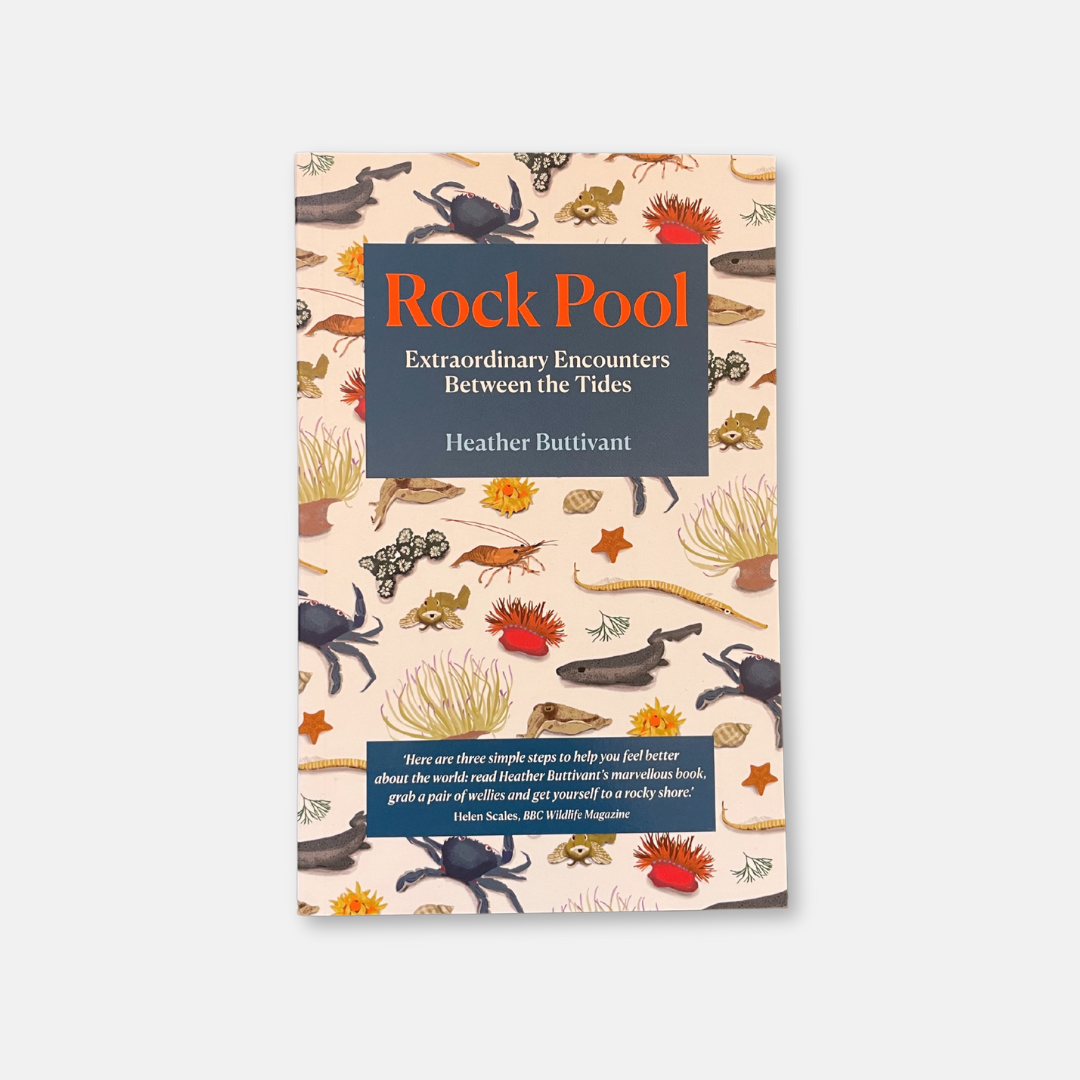 Rock Pool: Extraordinary Encounters Between the Tides