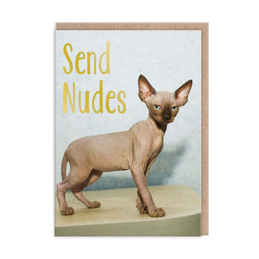 Send Nudes Greetings Card