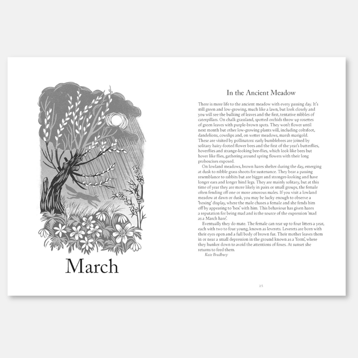 A Year In Nature