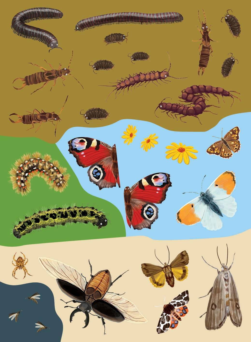 Beetles, Butterflies and Other British Minibeasts Sticker Book