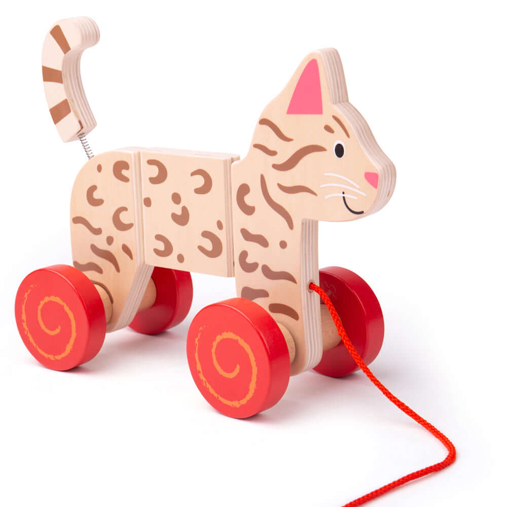 Cat Pull Along Toy