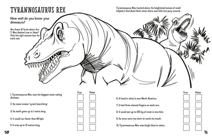 Dinosaurs Boredom Buster Activity Book