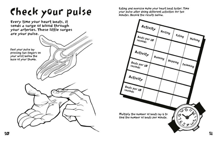 Human Body Boredom Buster Activity Book