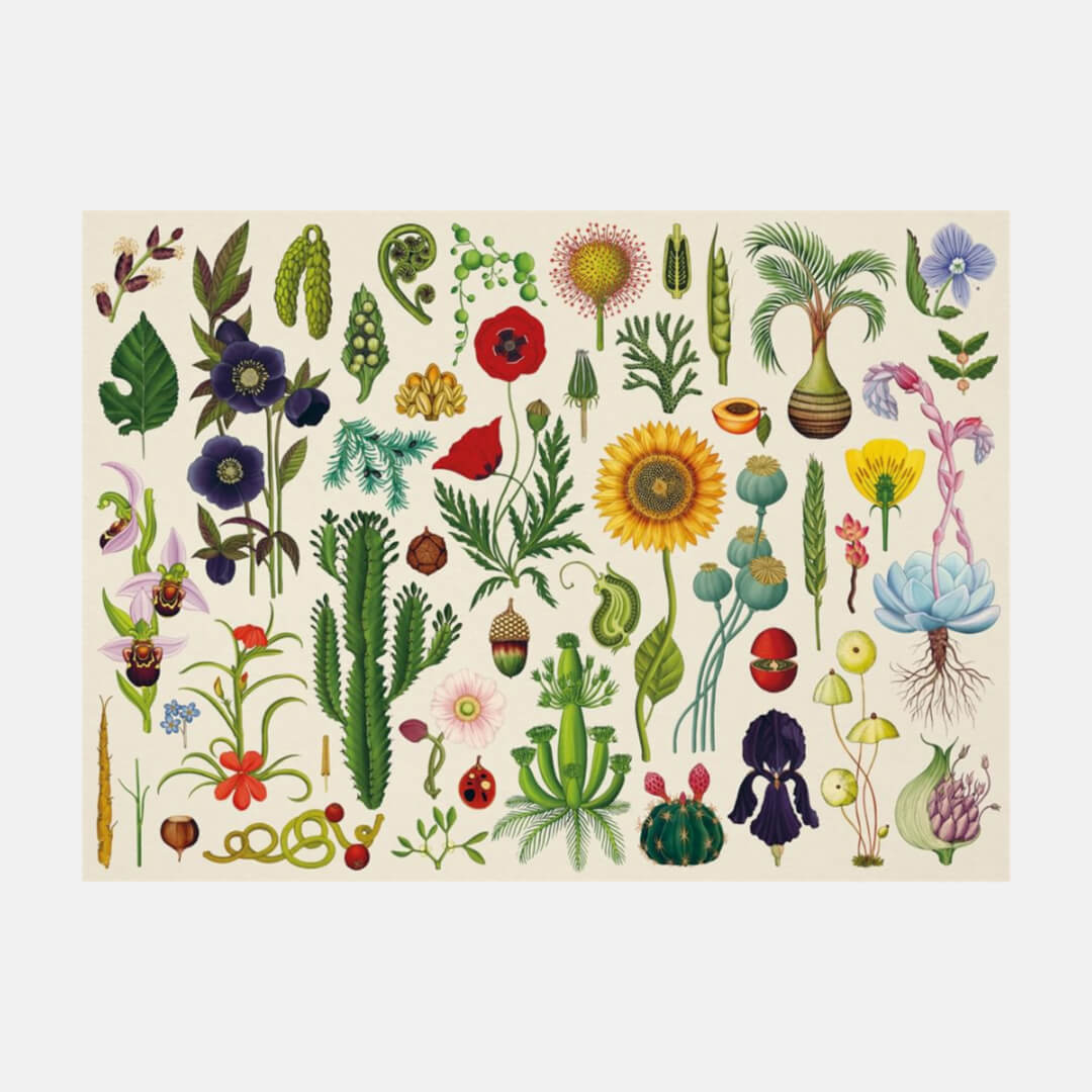 Botanicum 1000 Piece Puzzle