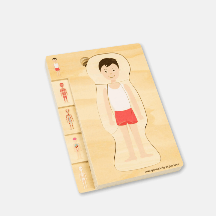 Wooden Anatomy Puzzles