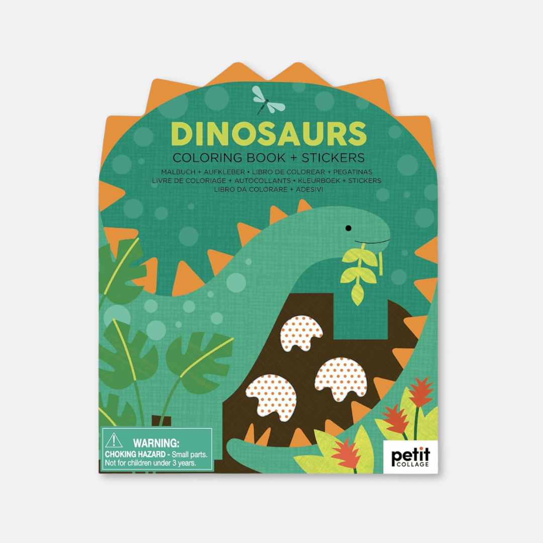 Dinosaur Colouring Book & Stickers