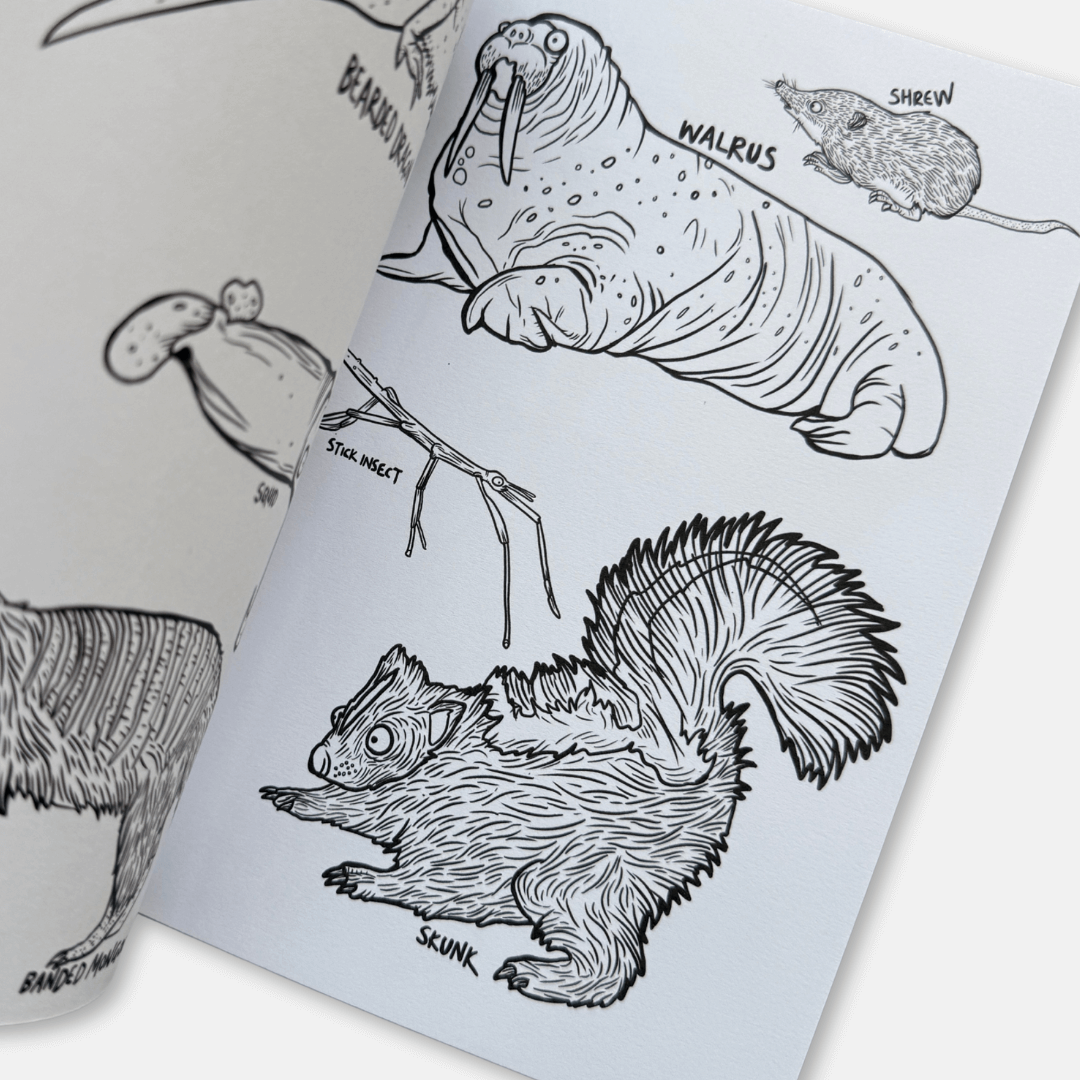 Animals! Colouring Book