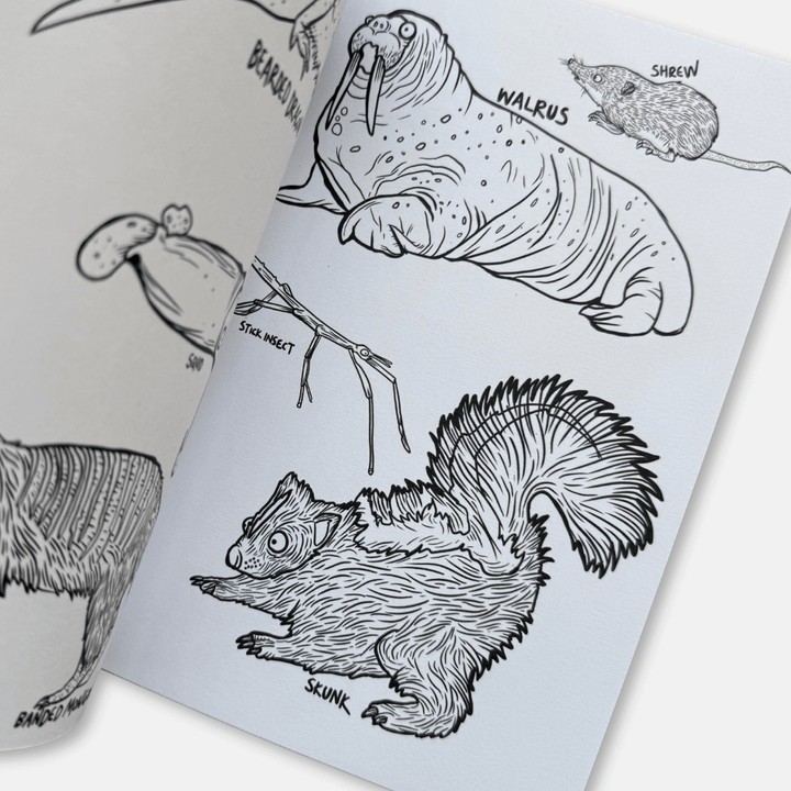 Animals! Colouring Book