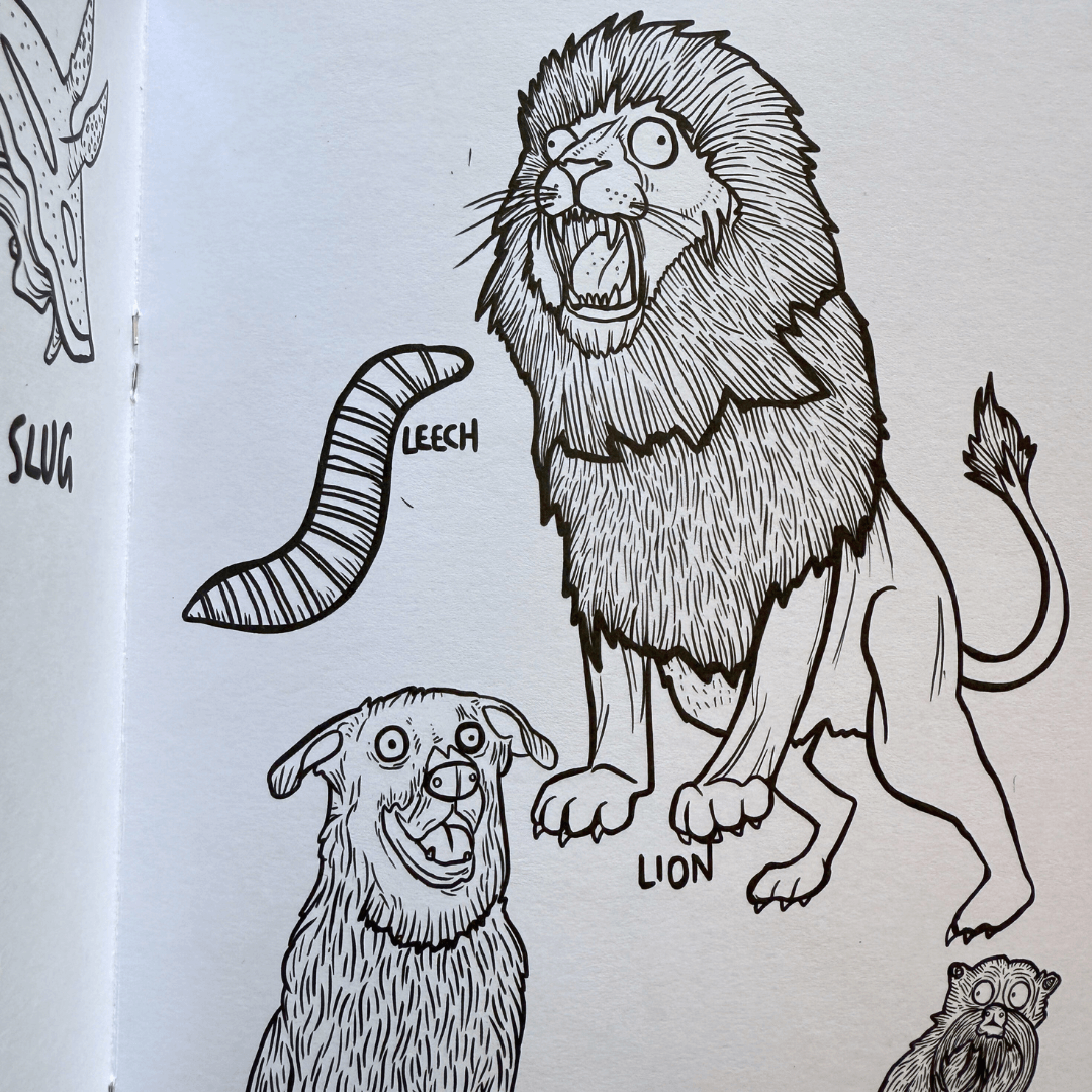 Animals! Colouring Book