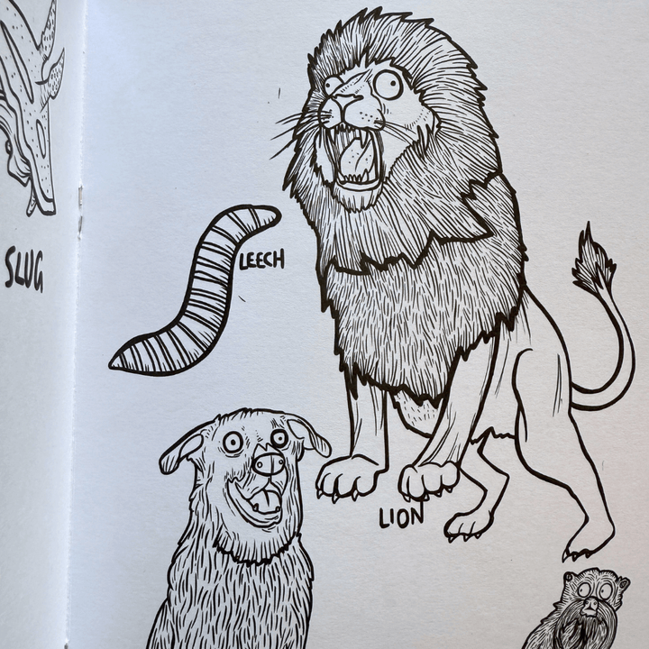 Animals! Colouring Book