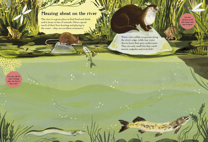 Hedgehogs, Hares and Other British Animals Sticker Book