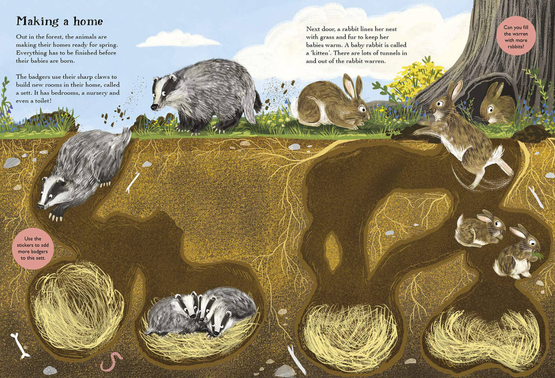 Hedgehogs, Hares and Other British Animals Sticker Book