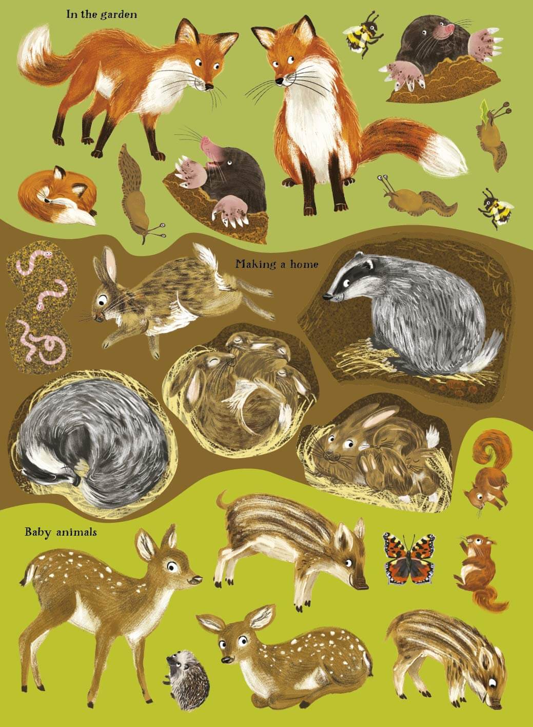 Hedgehogs, Hares and Other British Animals Sticker Book