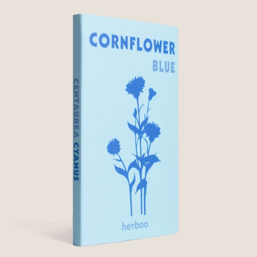 Herboo Cornflower Blue Seeds