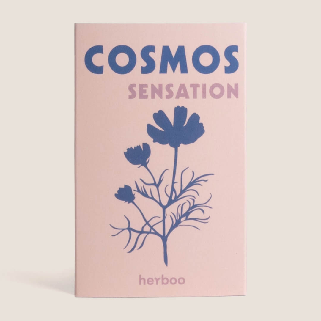 Herboo Cosmos Sensation Seeds