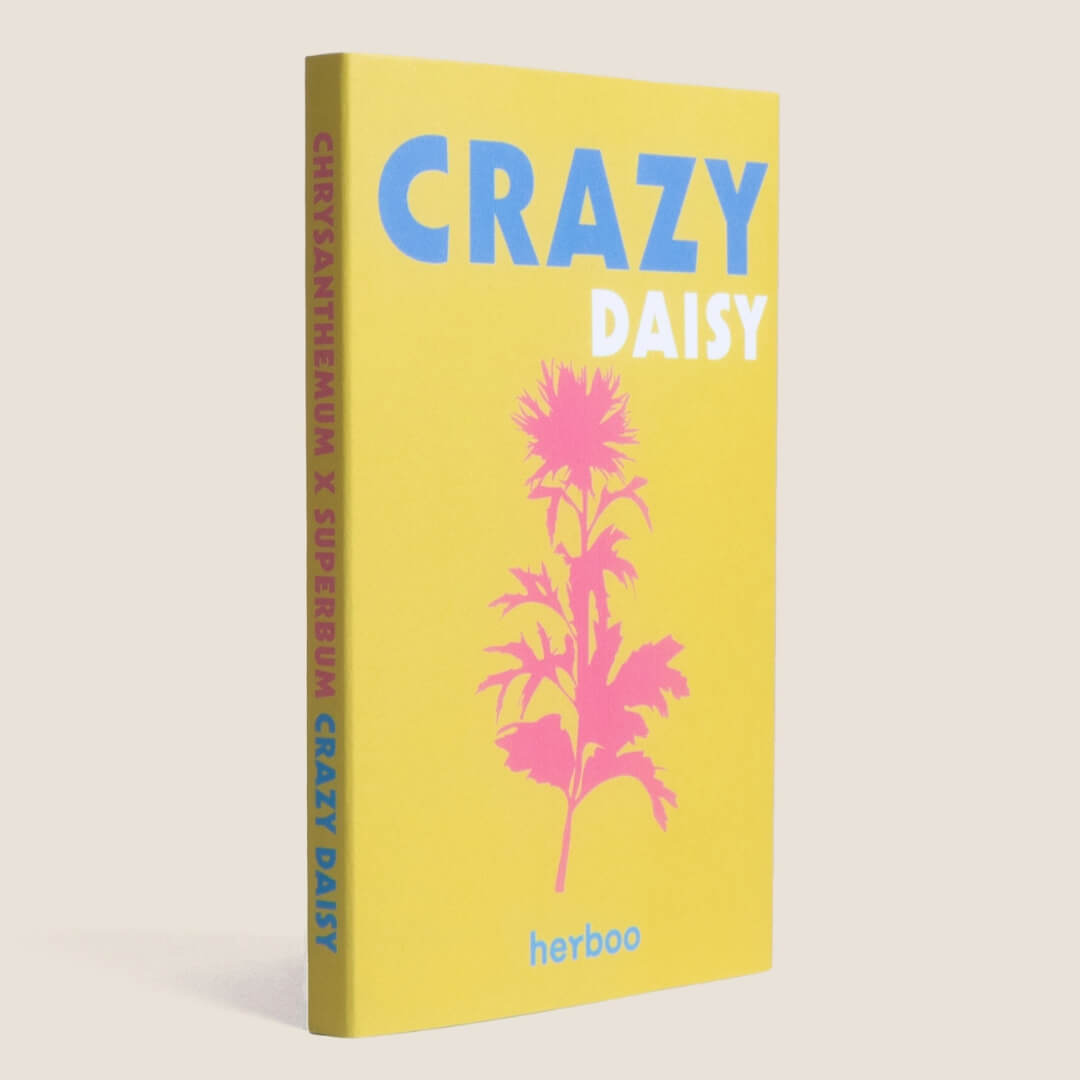 Herboo Crazy Daisy Seeds