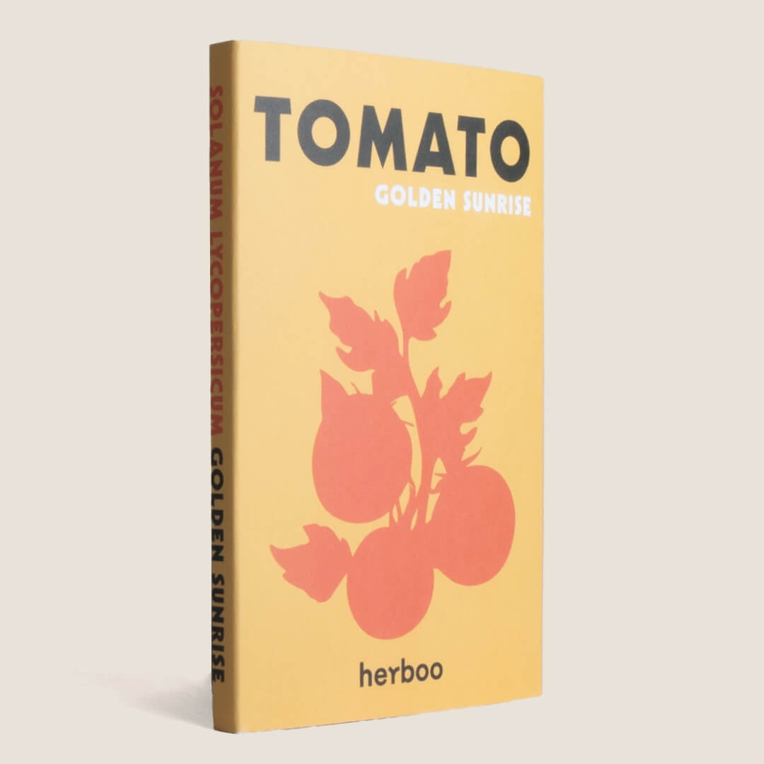 Herboo Golden Sunrise Tomato Seeds