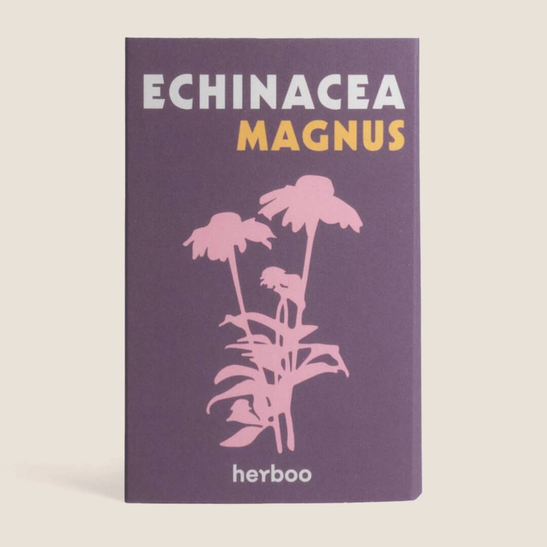 Herboo Magnus Echinacea Seeds