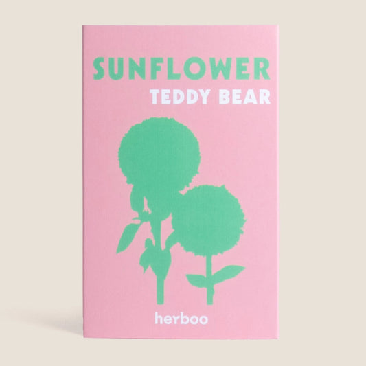 Herboo Teddy Bear Sunflower Seeds