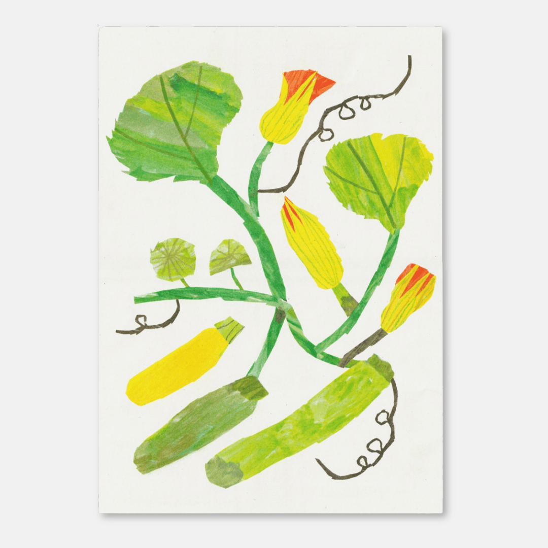 Courgette A3 Riso Art Print