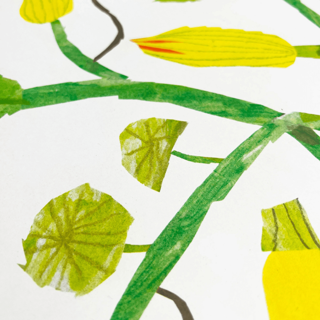 Courgette A3 Riso Art Print