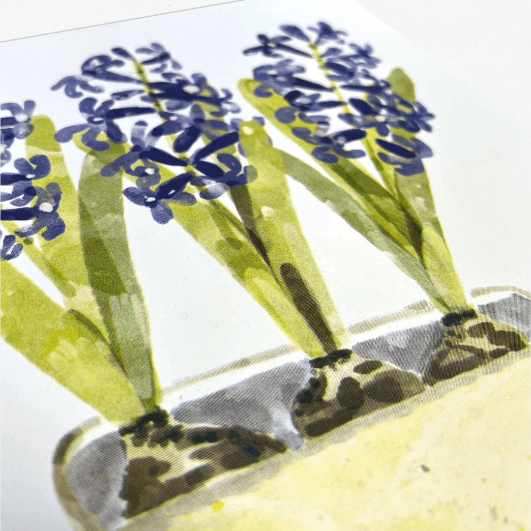 Hyacinth A3 Riso Art Print