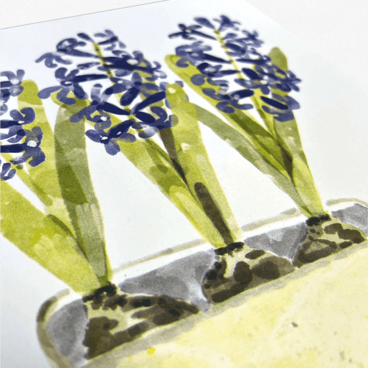 Hyacinth A3 Riso Art Print