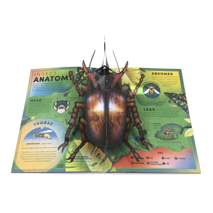 The Incredible Pop-Up Bug