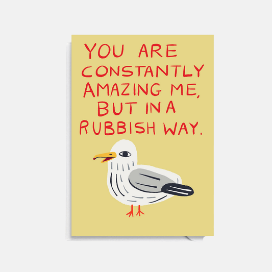 Amazing Seagull Greetings Card