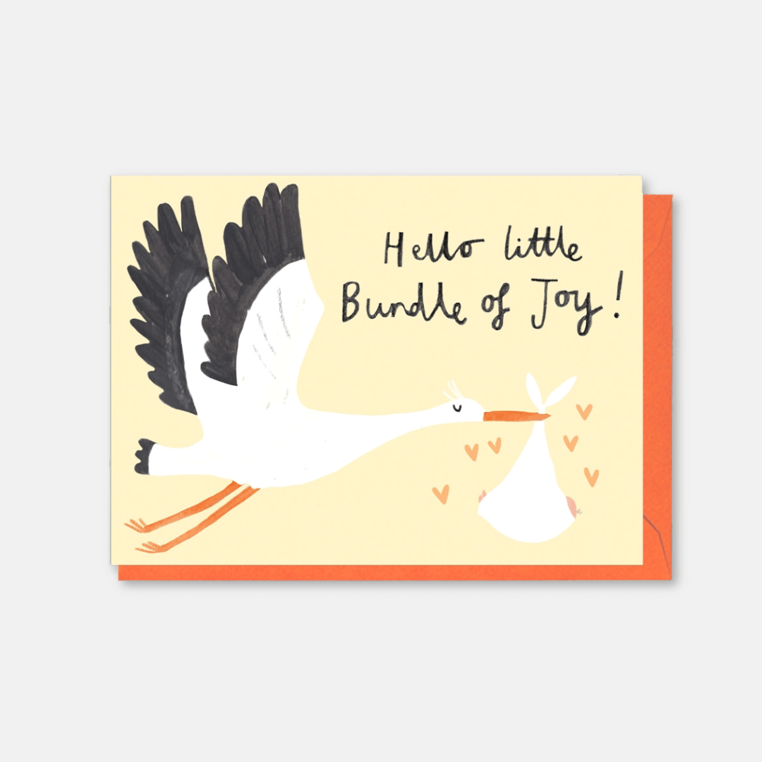 Bundle of Joy Stork Greetings Card