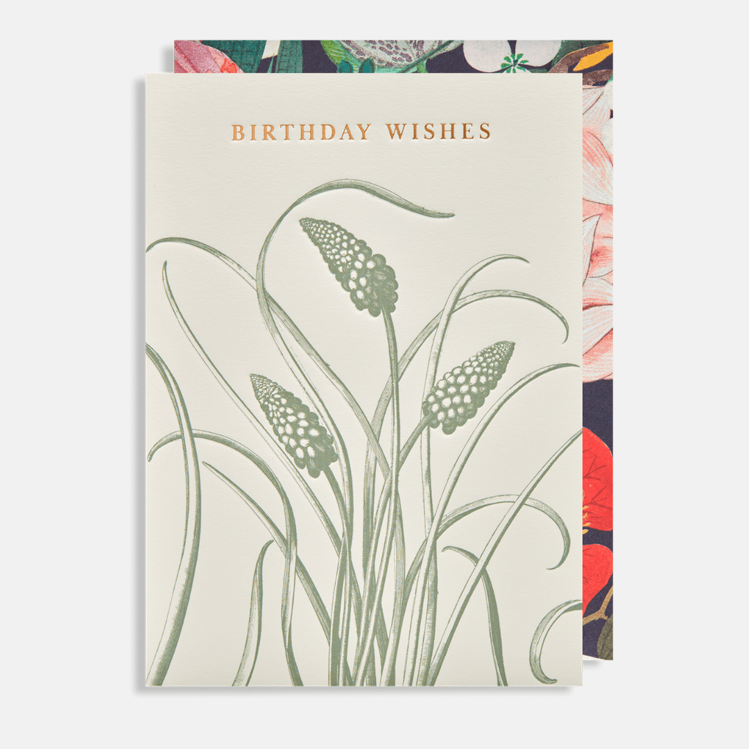 Birthday Wishes Kew Gardens Greetings Card
