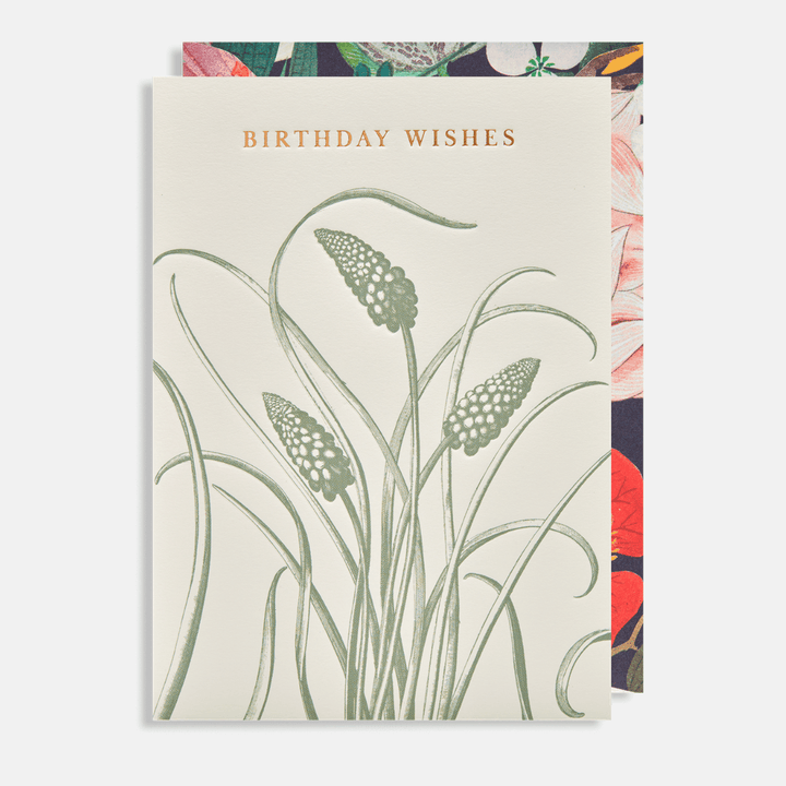 Birthday Wishes Kew Gardens Greetings Card