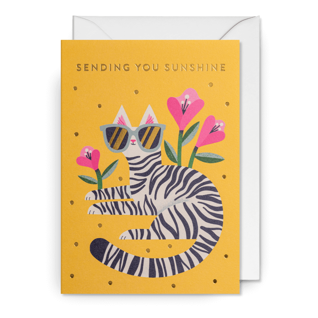 Sunshine Cat Birthday Greetings Card