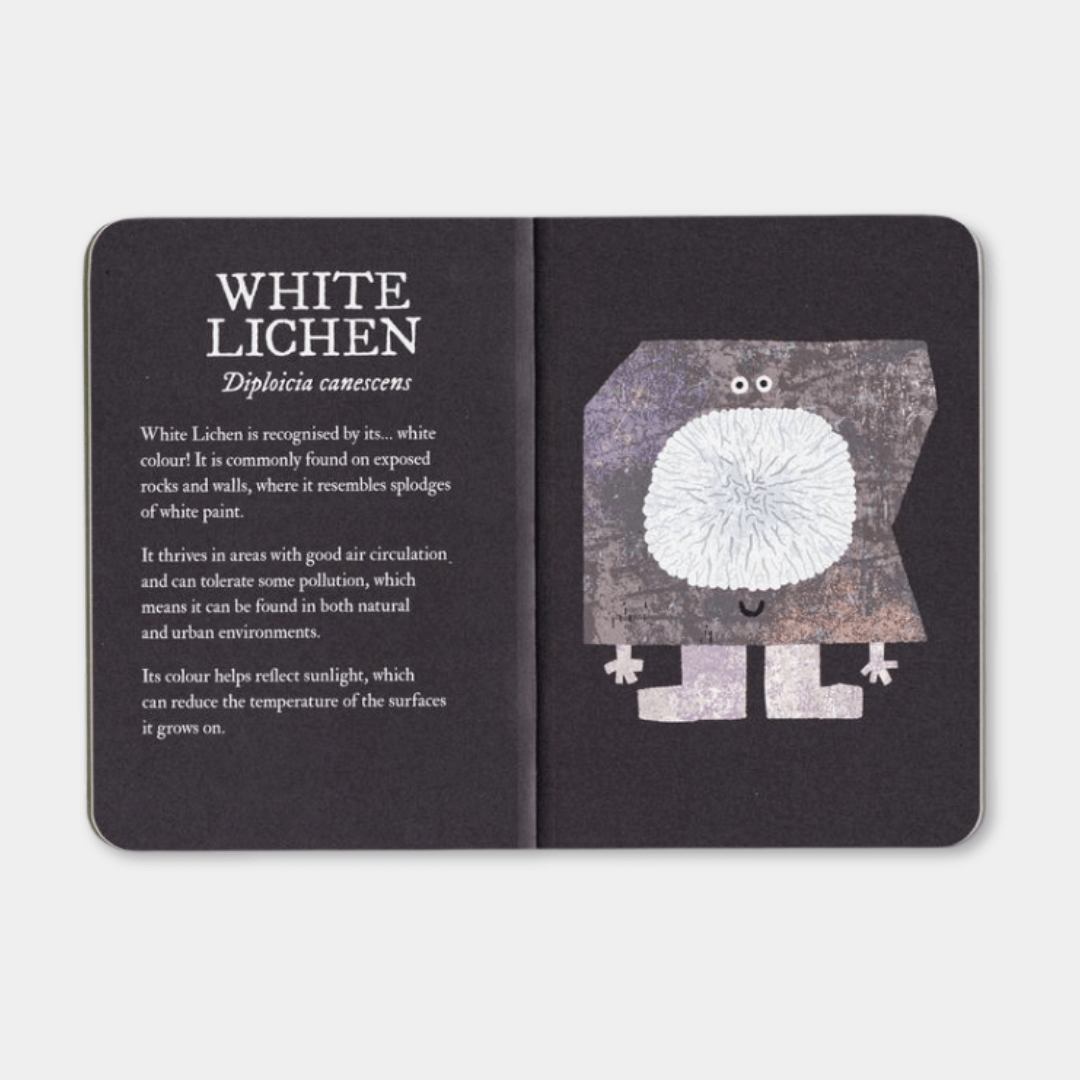 Lichen
