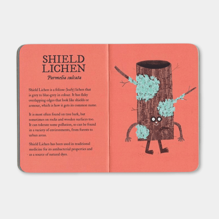 Lichen