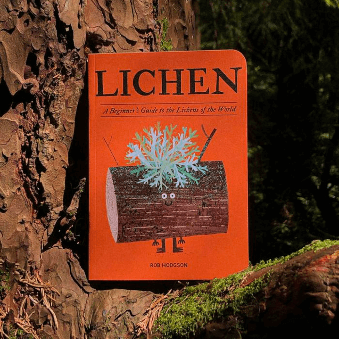 Lichen