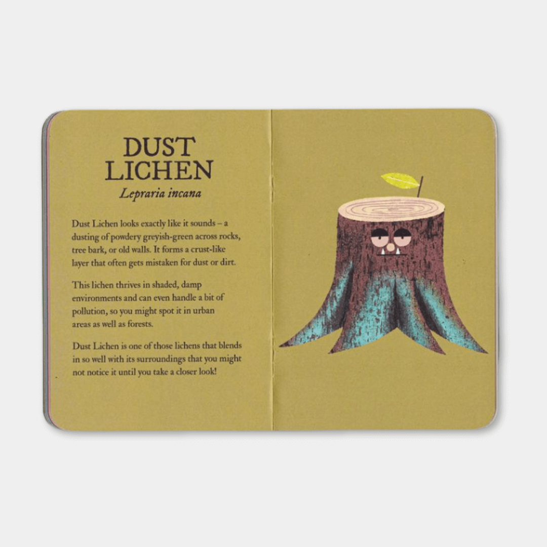 Lichen