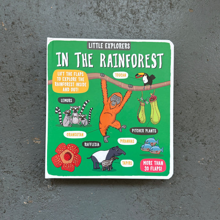 Little Explorers: In The Rainforest