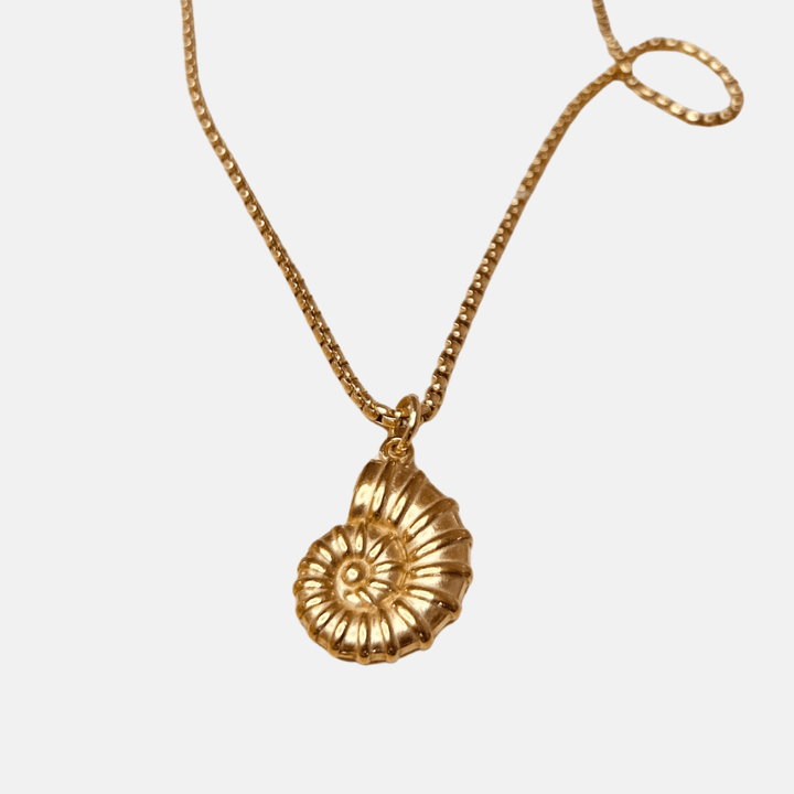 Shell Pendant Necklace